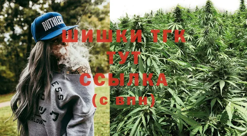 Конопля OG Kush  Липки 